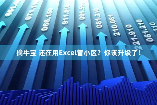 擒牛宝 还在用Excel管小区？你该升级了！