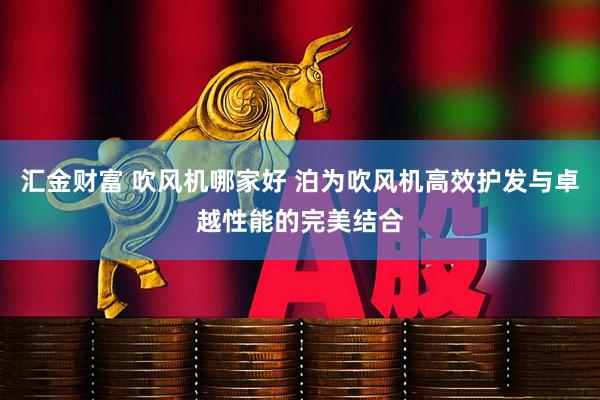 汇金财富 吹风机哪家好 泊为吹风机高效护发与卓越性能的完美结合