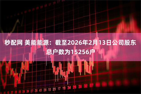 秒配网 美能能源：截至2026年2月13日公司股东总户数为15256户
