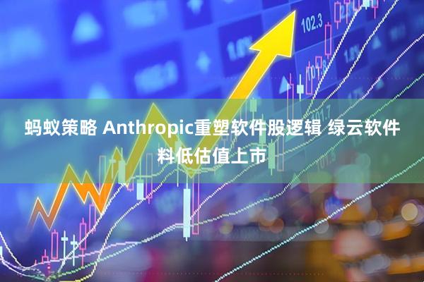 蚂蚁策略 Anthropic重塑软件股逻辑 绿云软件料低估值上市
