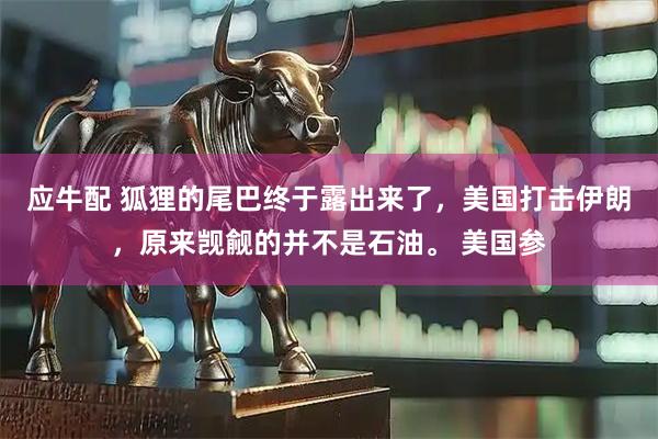 应牛配 狐狸的尾巴终于露出来了，美国打击伊朗，原来觊觎的并不是石油。 美国参