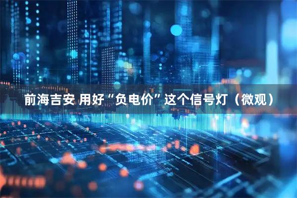 前海吉安 用好“负电价”这个信号灯（微观）