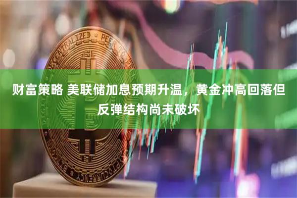 财富策略 美联储加息预期升温，黄金冲高回落但反弹结构尚未破坏
