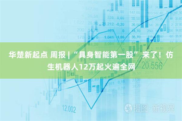 华楚新起点 周报 | “具身智能第一股” 来了!仿生机器人12万起火遍全网
