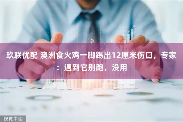 玖联优配 澳洲食火鸡一脚踢出12厘米伤口，专家：遇到它别跑，没用