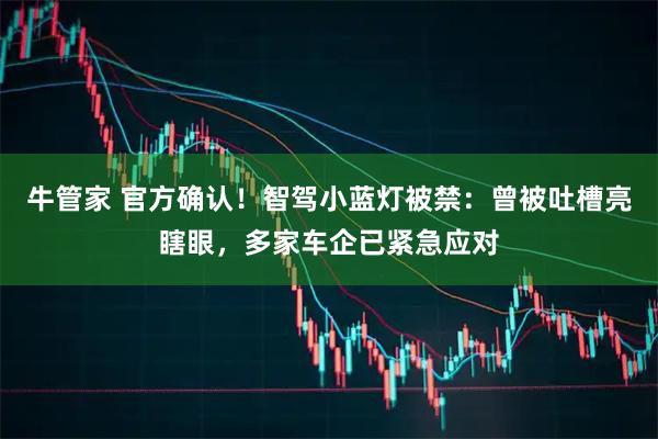 牛管家 官方确认！智驾小蓝灯被禁：曾被吐槽亮瞎眼，多家车企已紧急应对
