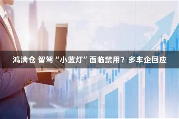鸿满仓 智驾“小蓝灯”面临禁用？多车企回应
